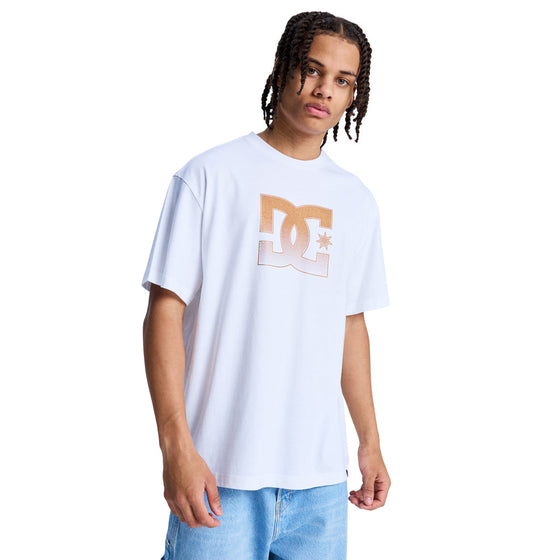 Men's DC Star Oxidized Heritage Short Sleeve Tees - White | DC Shoes