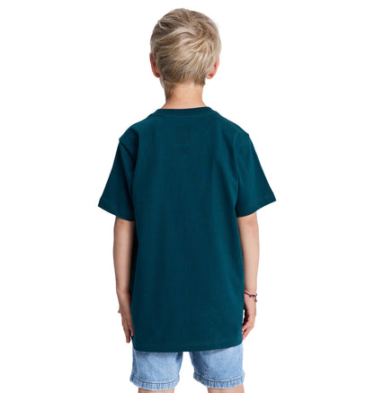 Kids' DC Star Filled Short Sleeve Tee - Ponderosa Pine | DC Shoes