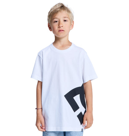 Kids' Lanai Youth Heritage Short Sleeve Tee - White | DC Shoes