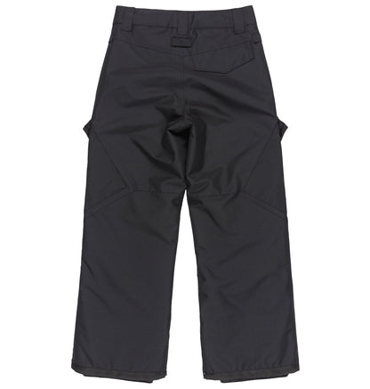 Kids' Banshee Snow Pants - Black | DC Shoes