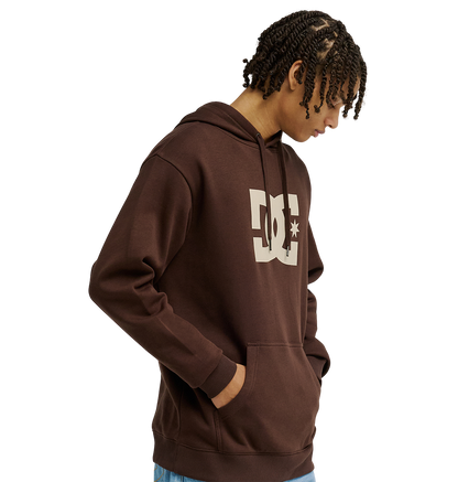 Men's DC Star Hoodie - Coffee Bean | DC Shoes