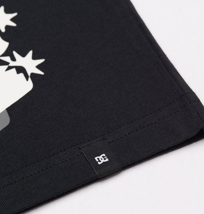 Men's DC Side Flame Tee - Black | DC Shoes