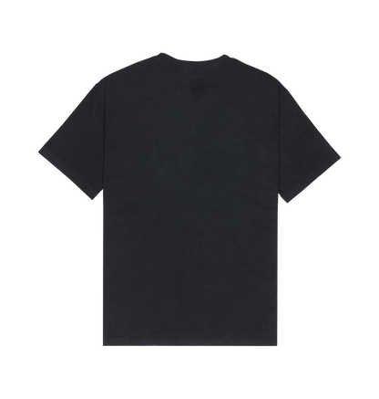 Men's DC Star Struck Tee - Black | DC Shoes