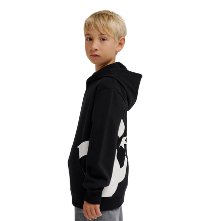 Kids' Lanai Hoodie - Black | DC Shoes