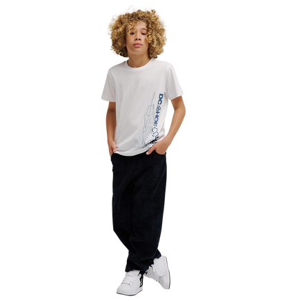 Kids' Side Flame Tee - White | DC Shoes