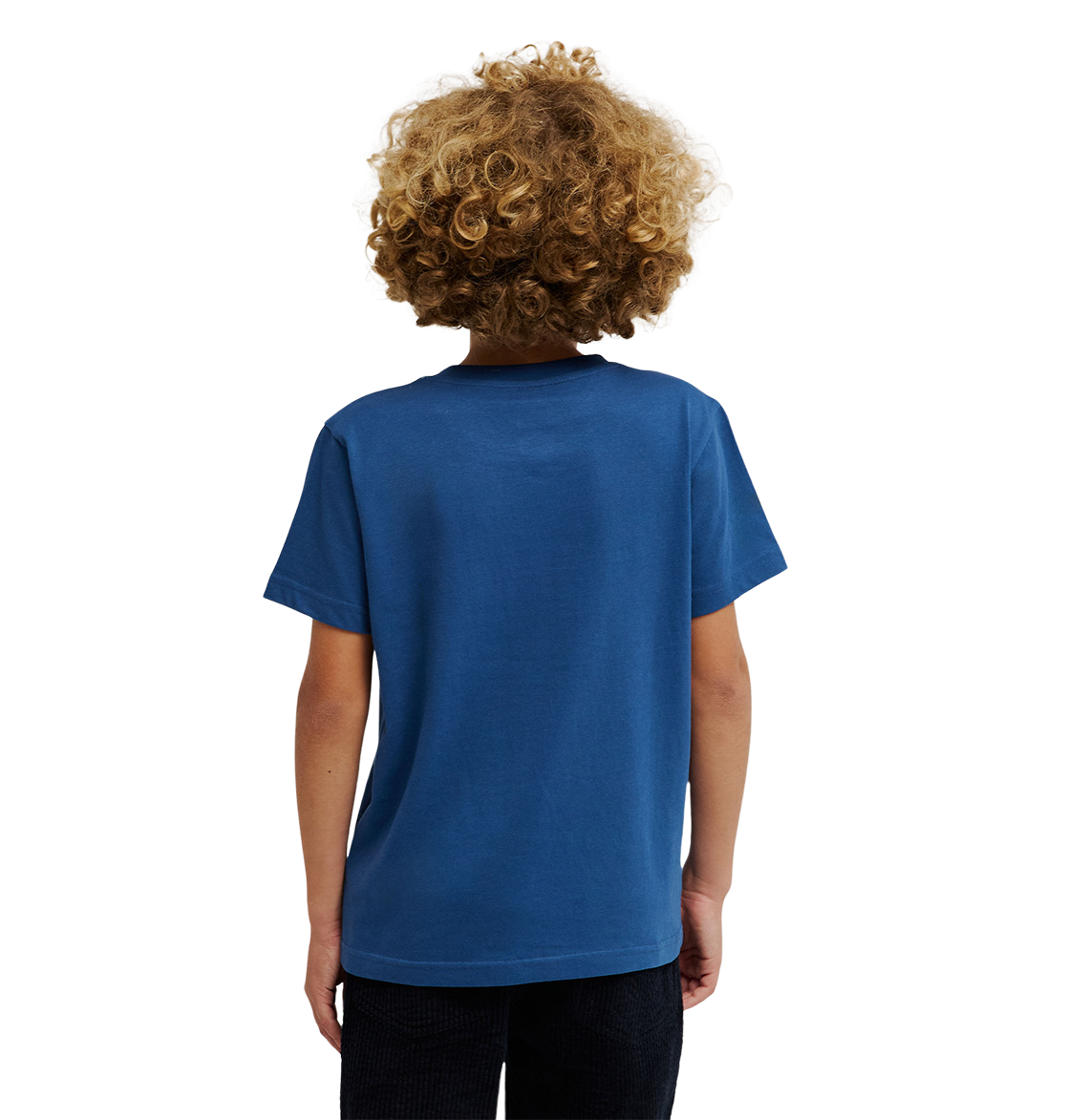 Kids' Star Filled Tee - Ensign Blue | DC Shoes