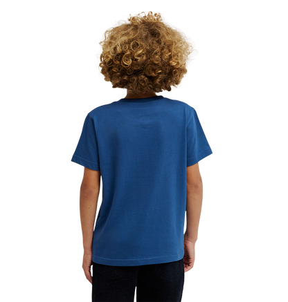 Kids' Star Filled Tee - Ensign Blue | DC Shoes