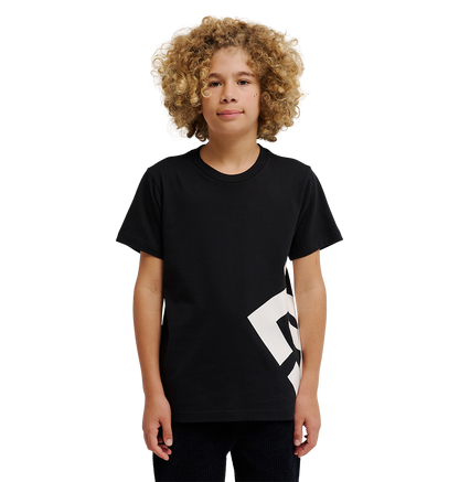 Kids' DC Lanai Tee - Black | DC Shoes