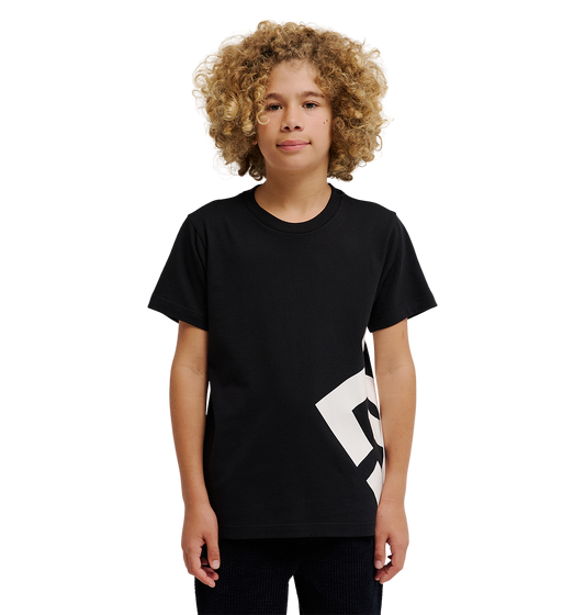 Kids' DC Lanai Tee - Black | DC Shoes
