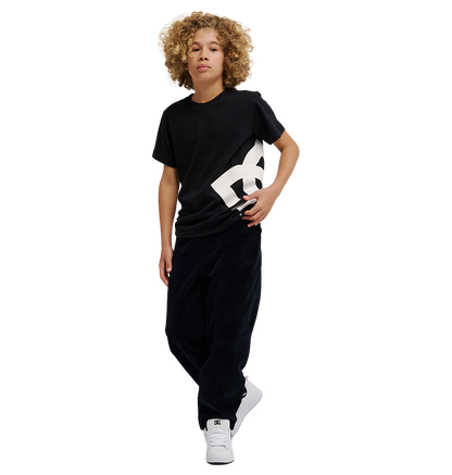 Kids' DC Lanai Tee - Black | DC Shoes