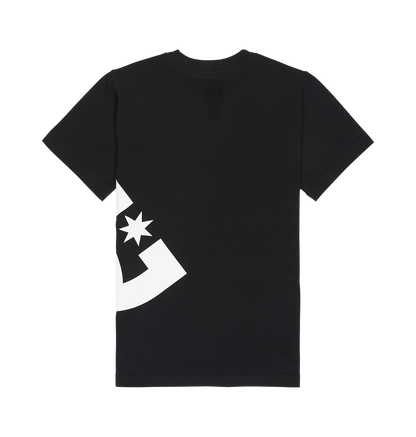Kids' DC Lanai Tee - Black | DC Shoes