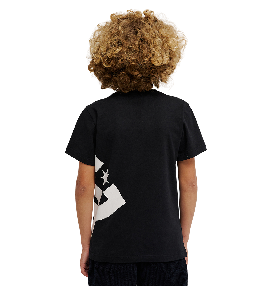 Kids' DC Lanai Tee - Black | DC Shoes